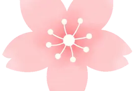 苏州地标集体“开花”啦！图片