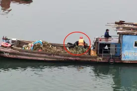 韶关3名船工驾船救起落水男子！警方拟为其申报见义勇为图片