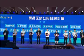 延安苹果品牌建设成效突出：公用品牌价值全国第三 4个企业品牌价值过亿元图片