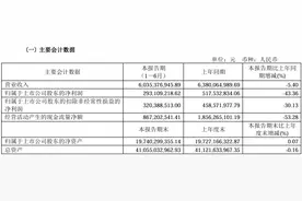 V观财报｜王府井上半年净利降超四成图片