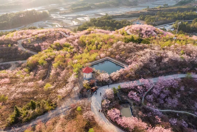 三明过年 · 马上有福 | 解锁三明年会新玩法！温泉+花海+丹霞+古城，承包团队全年快乐
