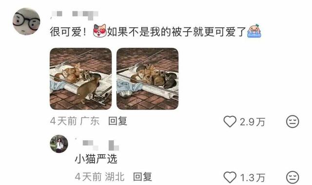 网友分享“伞上晒被”像彩色蘑菇！这份科学晒被攻略请收好