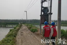 国网丰润供电公司：启动“特巡”加“抢修”机制应对“高温强降雨”图片