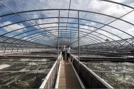 效益最高增10倍！科技特派员“送技”到一线图片