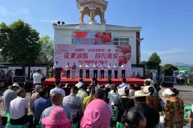 涪陵区：“花果飘香·最美南沱”第八届荔枝采摘活动举行图片