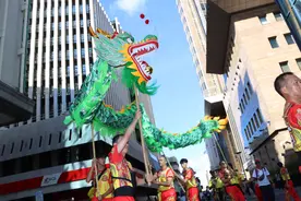 毛里求斯举行2025“欢乐春节”花车巡游活动图片