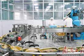 小小鱼罐头 “走遍”五大洲图片