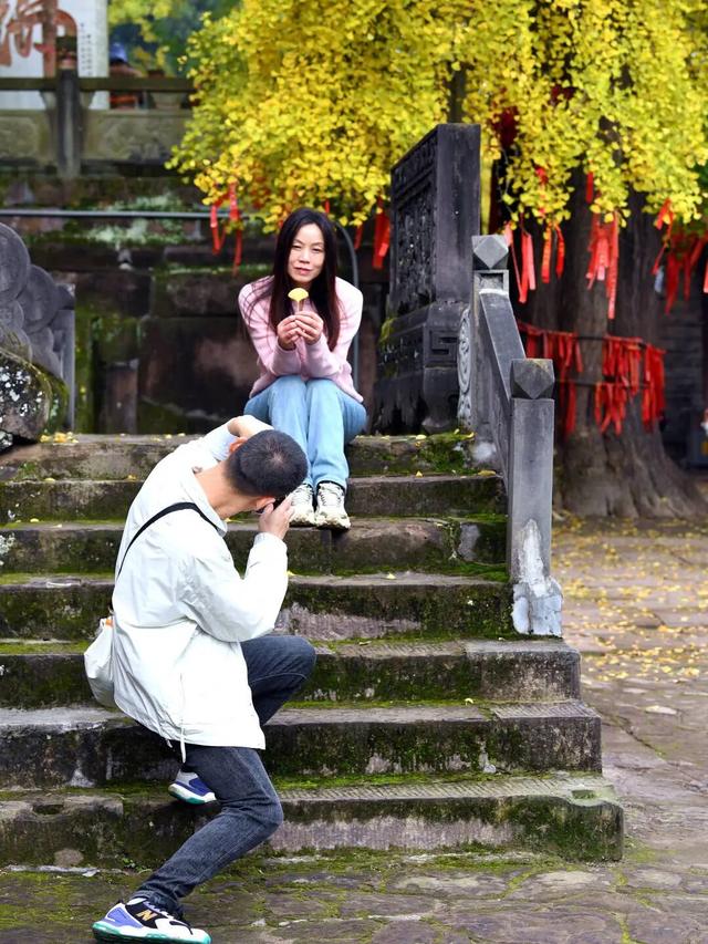 实拍！超美！成都这里的银杏黄了