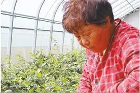 做强做优特色产业 发展壮大县域经济图片