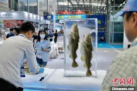 2024深圳国际渔业博览会启幕 港澳台展区抢眼图片