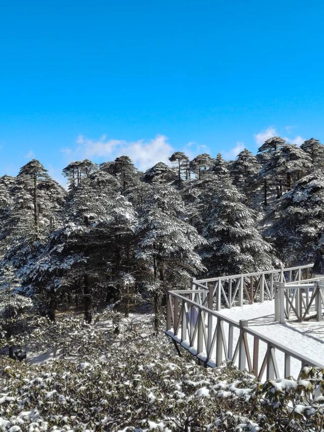 雪落大理苍山，有着道不尽的浪漫