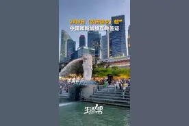 2月9日（农历除夕）起 中国和新加坡互免签证图片