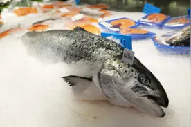 将恢复日本水产品进口？中方回应图片