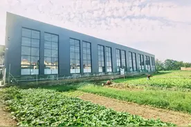 宅基变身“大车间” 农民变身“产业工人”图片