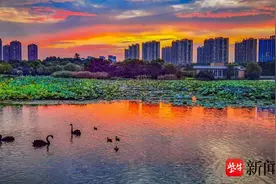 清明假期留守南京的你不用跑远 到雨花来打卡这些公园吧！图片