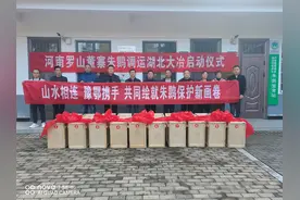 美丽中部建设具象化了！河南20只国宝朱鹮到湖北定居图片