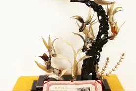 广西宾阳：“非遗+”做活“牛”产业带来好日子图片