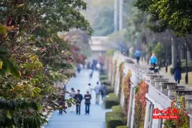 南方这轮降雪将集中在这两天！福建迎来2025年第一场雪？图片