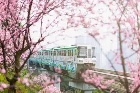 列车停站时间为什么不能长一点？图片