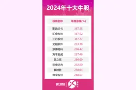 晓数点丨2024年十大牛股出炉：寒武纪逾387%涨幅问鼎榜首图片