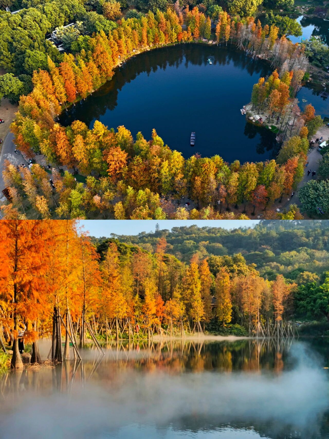 上榜全国暖冬城市TOP3！南宁，被低估的过冬宝藏地！不止温暖，更有看不完的风景和吃不完的美食