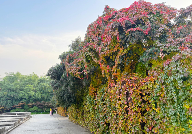 秋风引路入曲江，芙蓉金叶映红墙