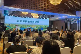 杭州西溪国家湿地公园创建20年 累计入园6500万人次图片