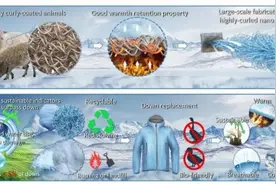 【复材资讯】清华大学Nature Sustainability：仿生超细纤维用于可持续隔热材料图片