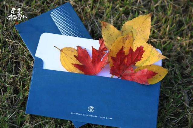 6号线！赶紧和栖霞山“奔现”吧！！