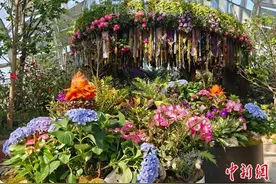 2025上海国际花展：用“百花齐放”取代“一枝独秀”图片