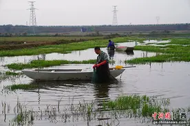 贵港港北区：小龙虾错峰上市 助力虾农增收图片