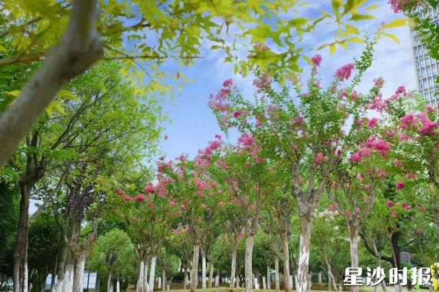超美的！长沙县新增一拍照打卡地！​就在……