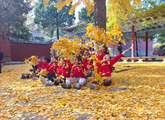 重见“齐鲁青未了” 山东泰山交出亮眼“绿色成绩单”