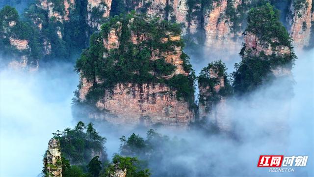 张家界鹞子寨景区：金秋日出云海同框 绘就多彩山水画卷