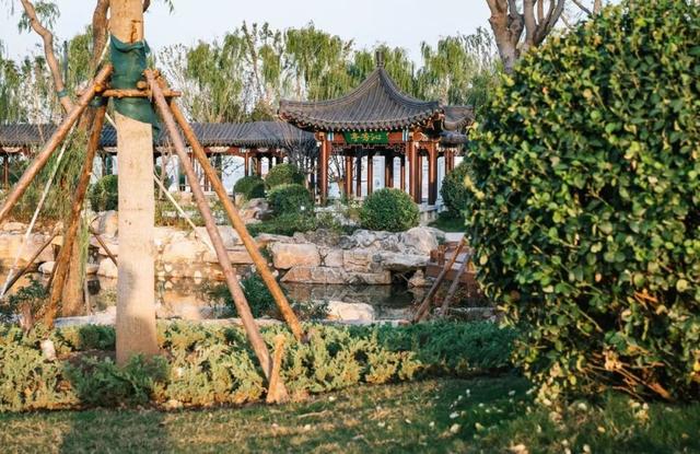 济南这座大型“城市公园”，好逛!