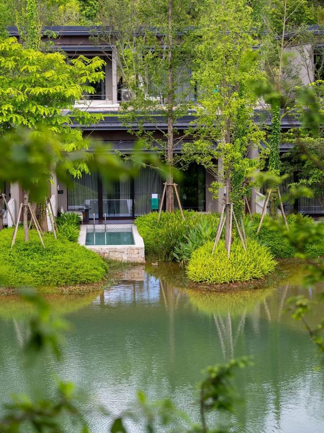 把冬天调成暖色系！松山湖落羽杉红了，温泉冒泡了，火锅沸腾了～