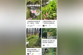 上海人的朋友圈又流行起了这事儿？紧急提醒：碰都不要碰！图片