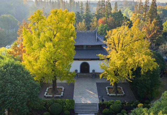 太仙了！美到巅峰！这个周末，又要人人人啦~