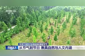 从节气到节日，这些关于清明的知识你了解吗？图片