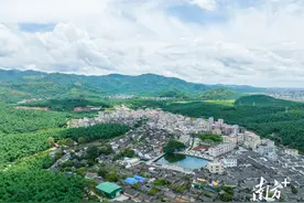 舌尖上的“岭南山珍”，夏日的埔田竹笋一口鲜甜｜揭阳风物图片