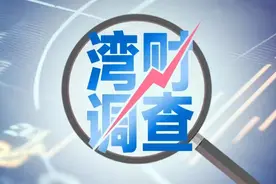 盗版LABUBU产业链调查：防伪码配套山寨网站一条龙造假图片