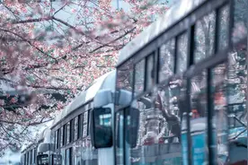 两会之声｜委员建议优化公交运营：使用小型车，提升覆盖密度图片