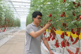 昆明东川区：“三农”兴旺 群众幸福图片