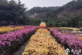 来泉州跨年吧！繁花、雪景、烟花，撞钟祈福……各种宠粉项目通通安排上图片