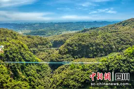 邛崃川西竹海携手蜜雪冰城开启跨界营销图片