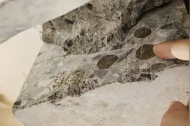 长沙润府小区精装房承重梁主筋被切断，验收何以通过？图片