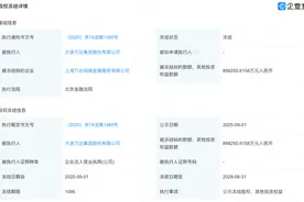 万达持有的94亿元股权被冻结图片