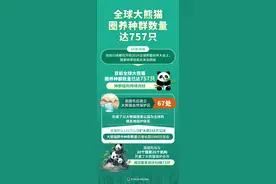 （图表）全球大熊猫圈养种群数量达757只图片