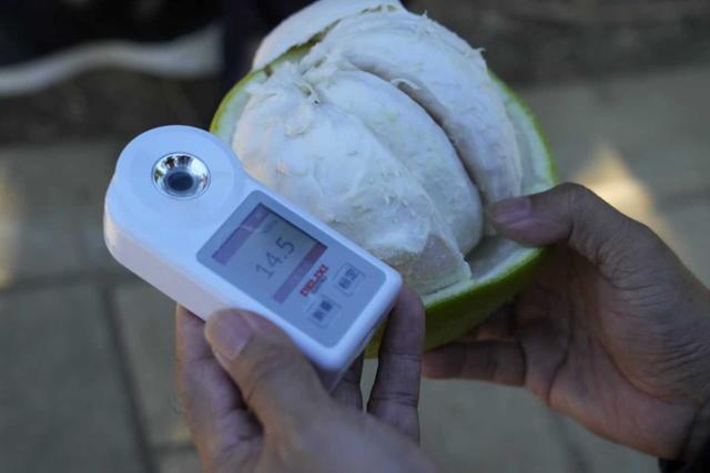 第1视点｜乡村振兴路 金柚正飘香