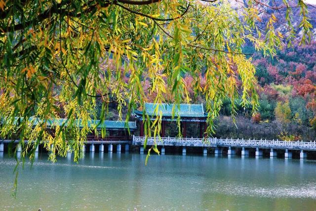 威海这个4A级旅游景区免费！登山看海+千年祈福，初冬盛景不辜负